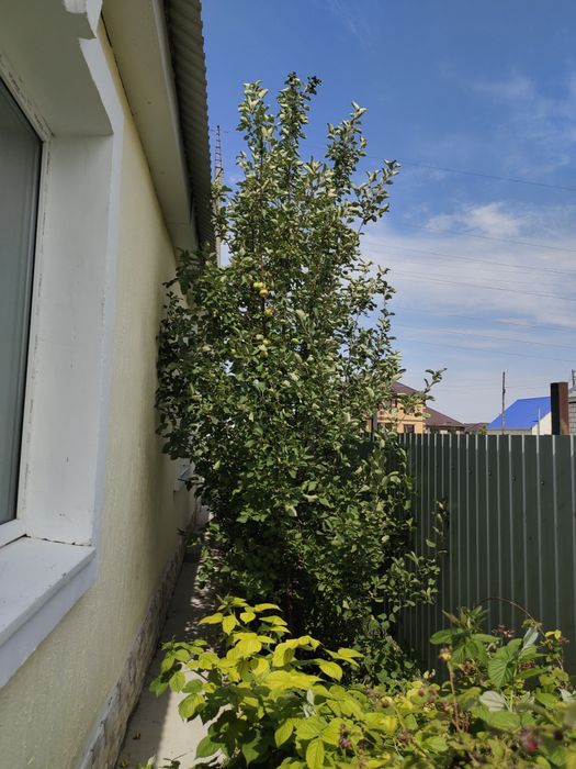 Продам дом в 13мкр