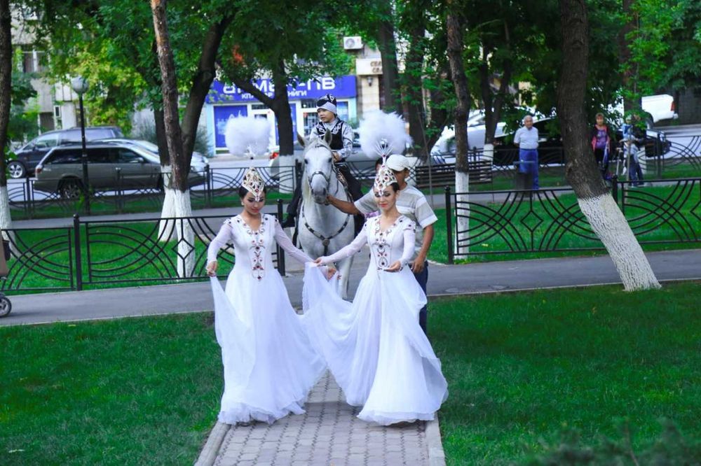 Белая лошадь, пони, трон, конь