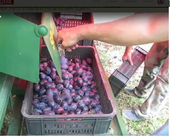 Utilaj recoltat prune, cirese, visine, alune, nuci, migdale