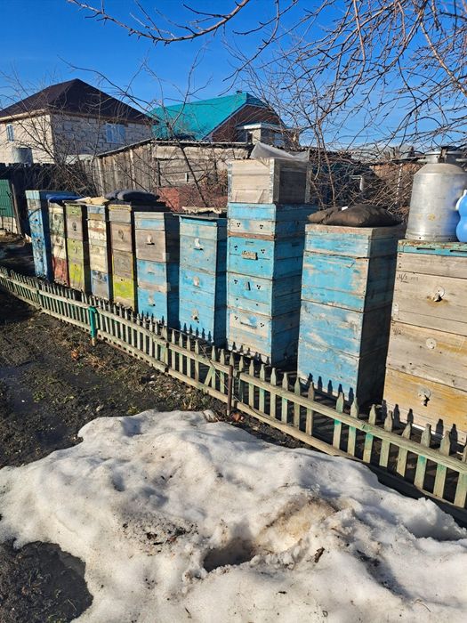 Продам панику + инвентарь