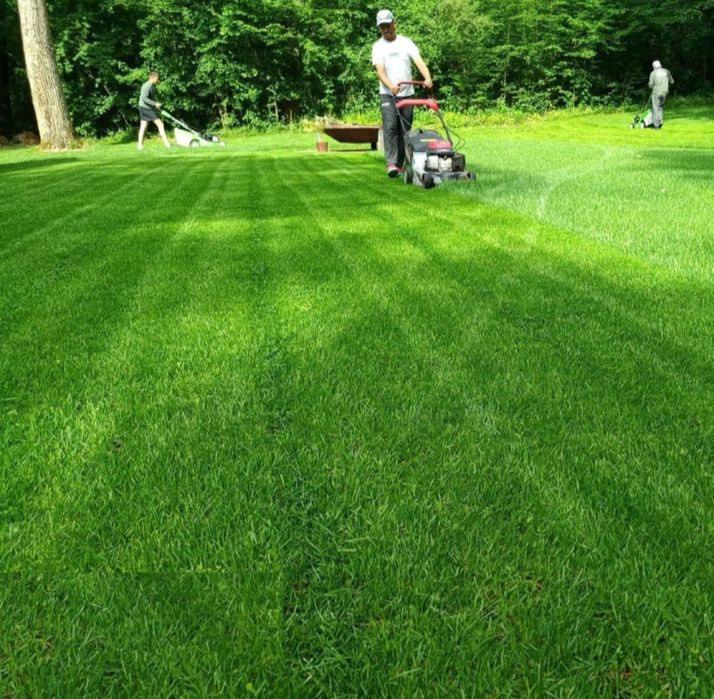 Vând si montez gazon rulou