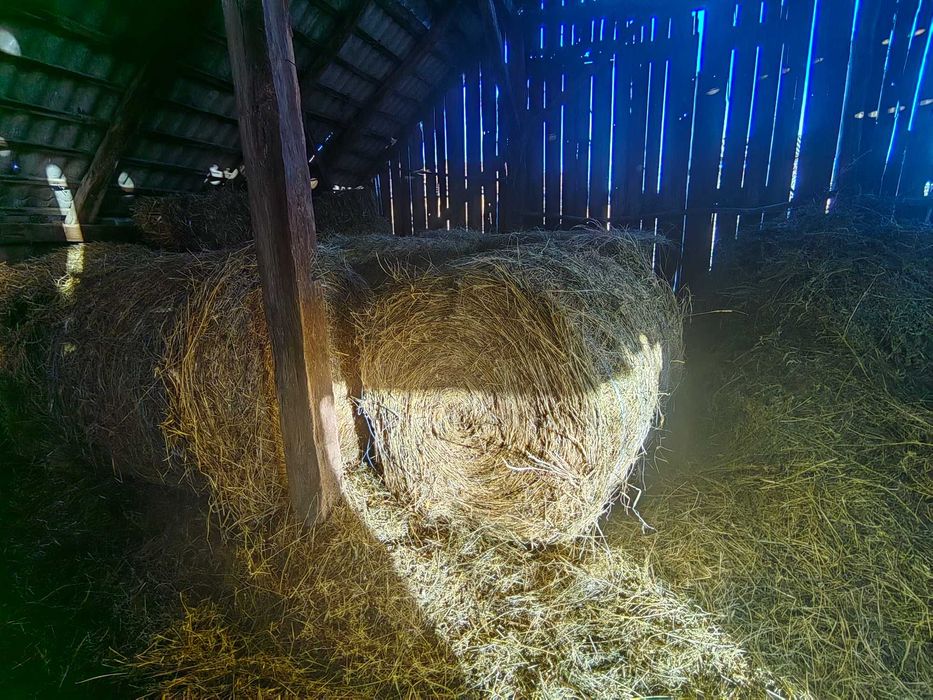 Balot de fan de vanzare