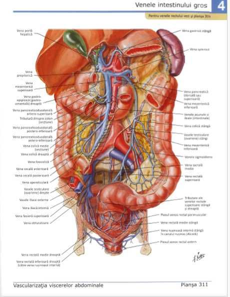 (10GB) Materiale admitere medicină 2025