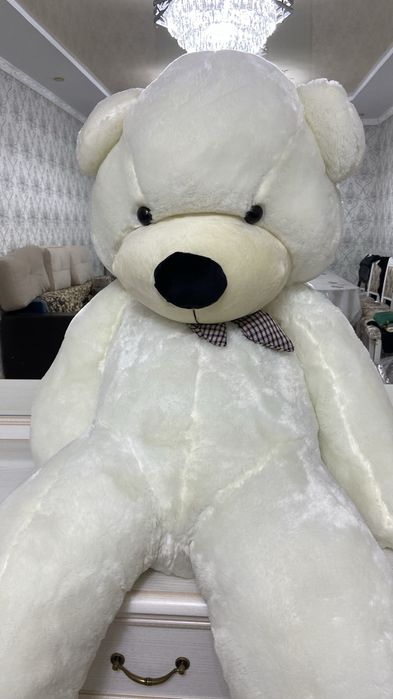 Мишка үлкен арзан бағада