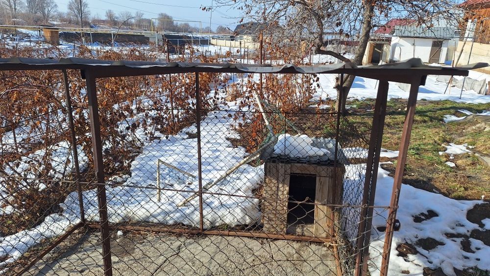 Вальер будка для сабак