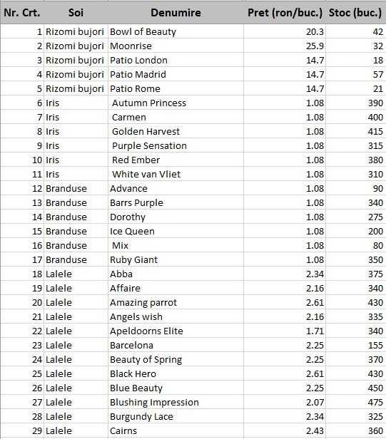 Bulbi de lalele, narcise. Lichidari de stoc. Preturi engros.