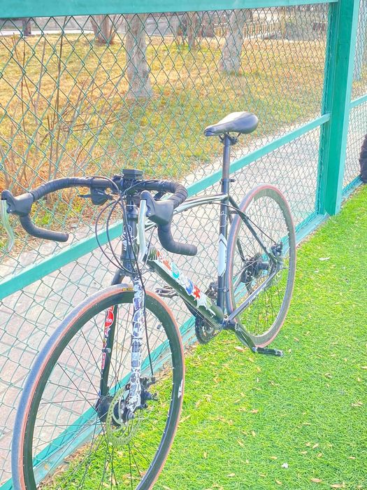 Продам шоссейник