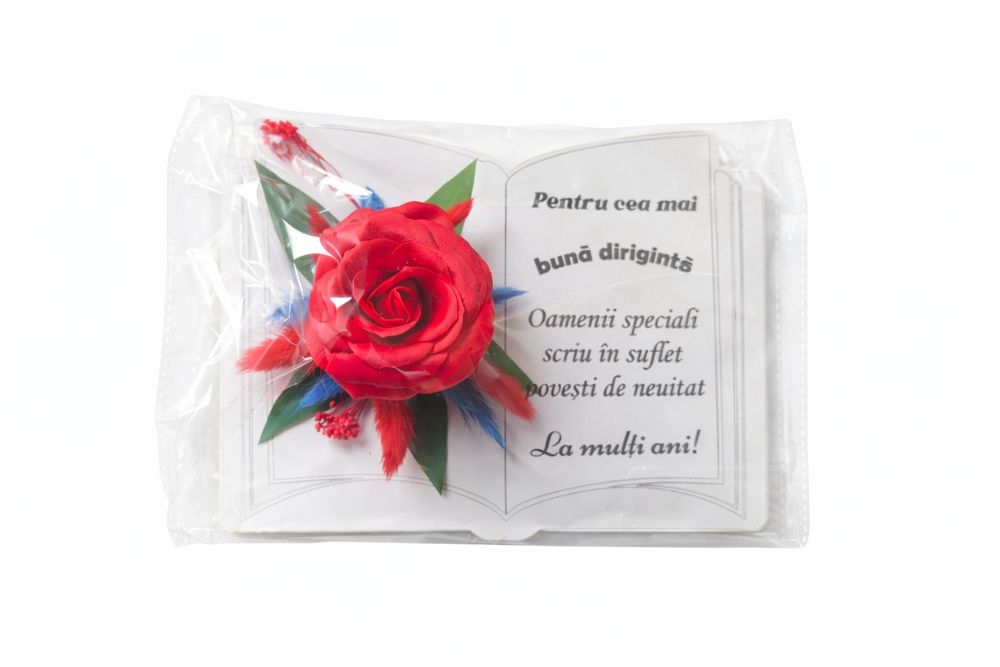 Tablou Decorativ de 1-8 Martie ,4 Modele