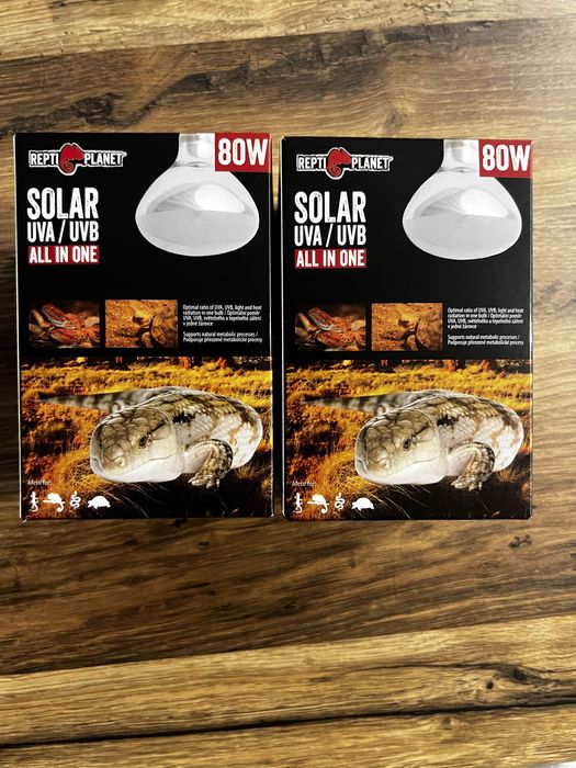 Becuri repti planet 80w