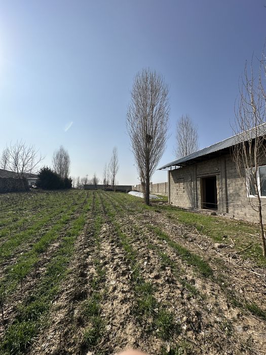 Yangilyulda yer sotiladi