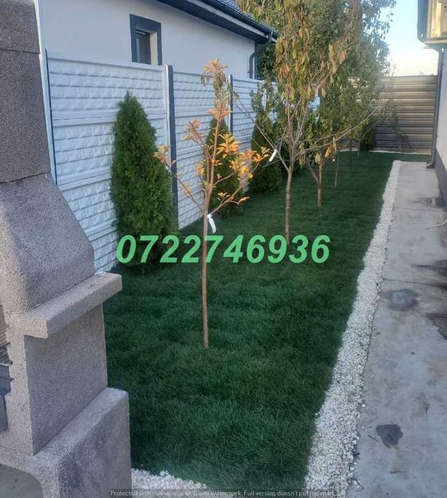 Gazon Verde Premium pentru Amenajări Peisagistice