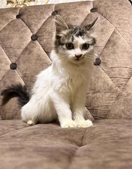 Малышка в самые добрые руки!