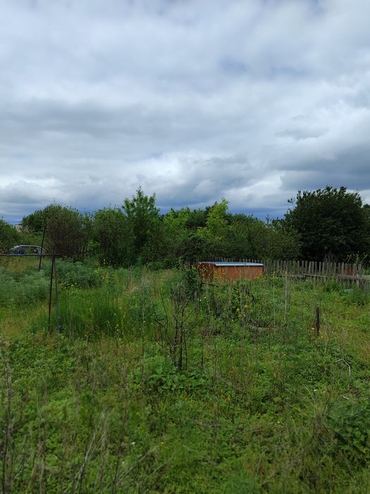 Продам дачу 6 соток