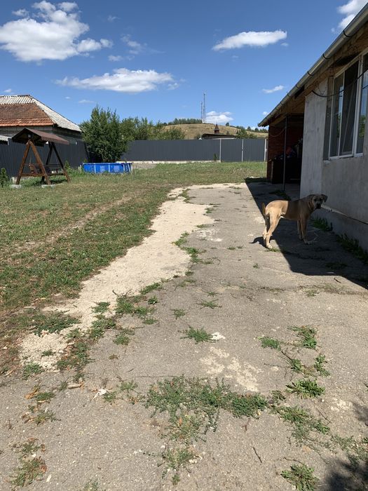 Casa cu teren generos la 12 km de Oradea-zona Baile Felix