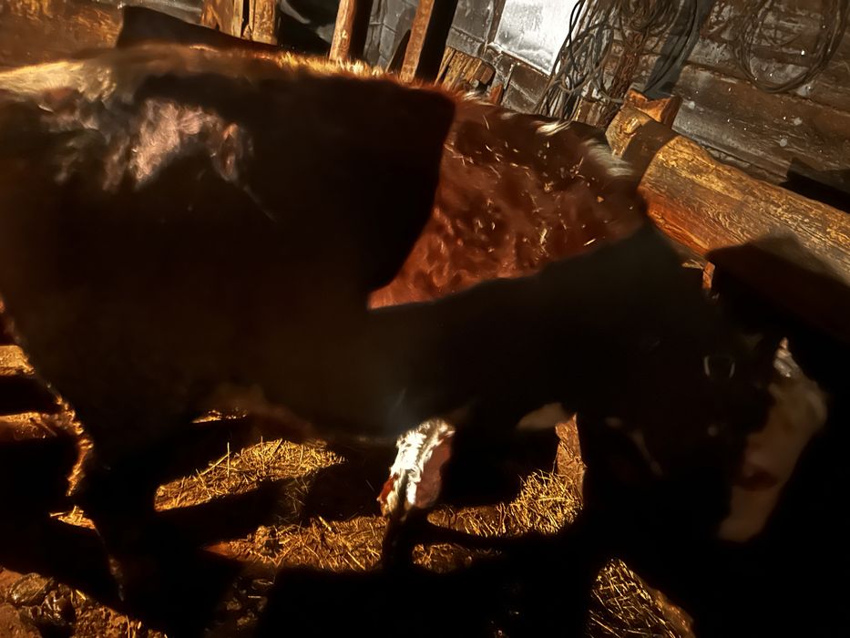 Кунажын сатыладв