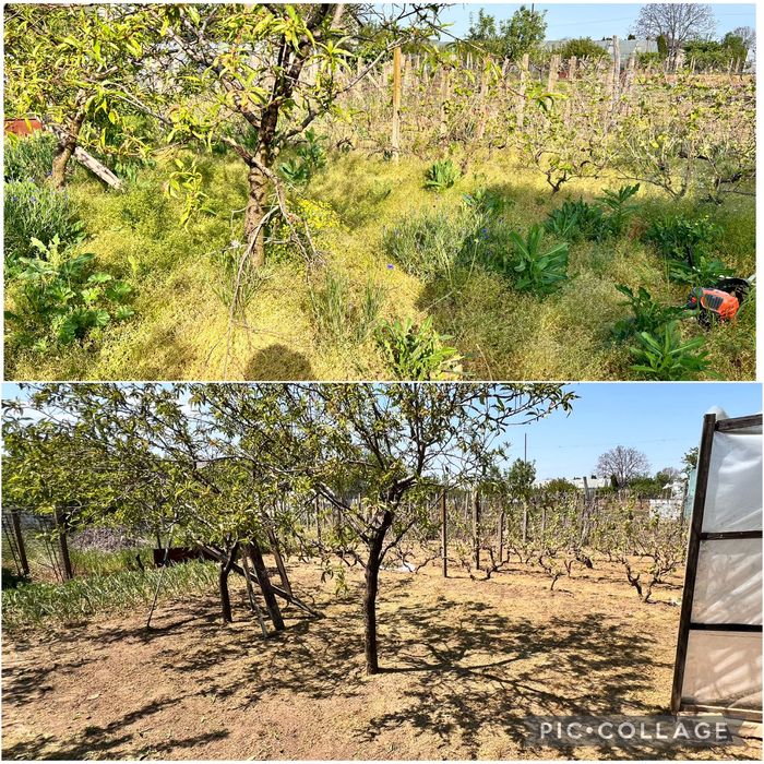 Предлагаме почистване на РАЗУМНА ЦЕНА!