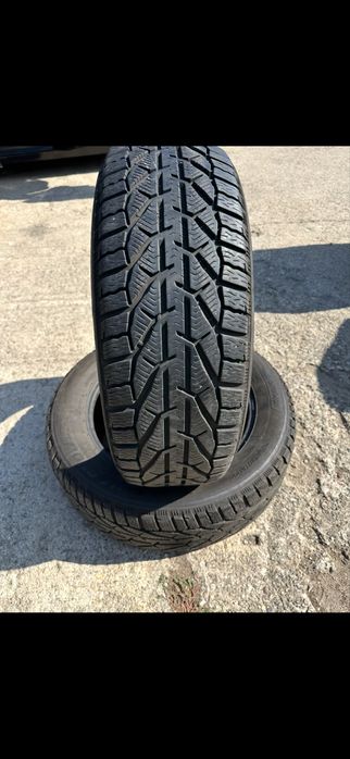 225 60 18 iarna