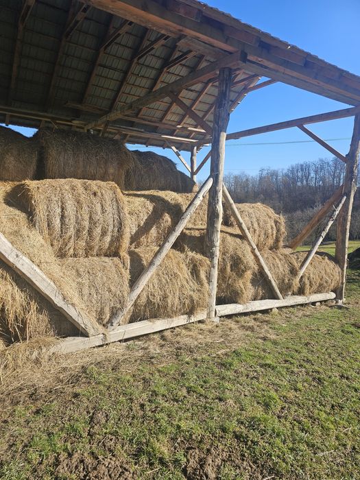 Vând baloti fan foarte bun 120x120