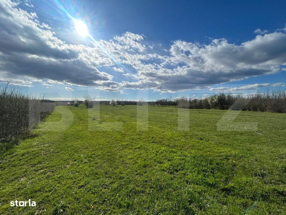 Teren | Rancaciov | 2000 Mp | 700 Intravilan |