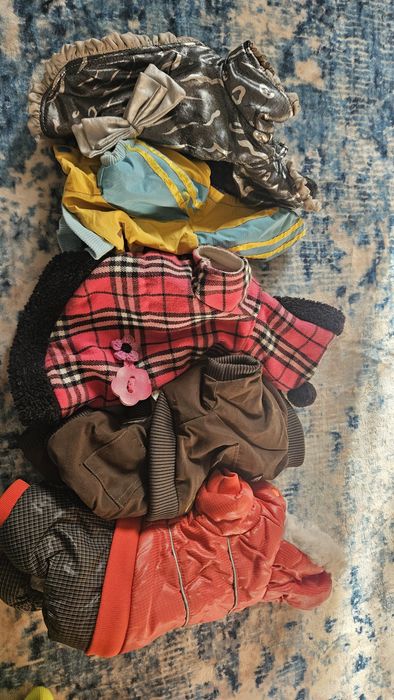 Одежда для собак