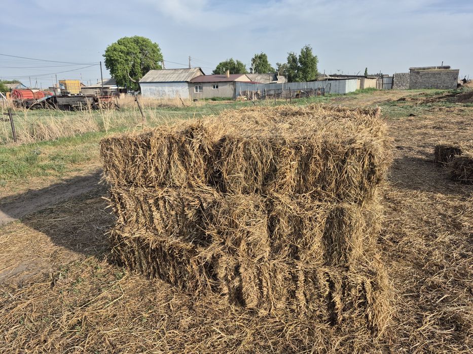 Сено в тюках для мульчирования