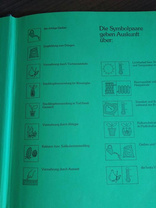 Комнатные цветы книга