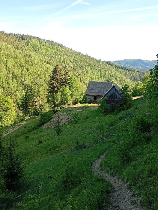 Vând casă Horea   .