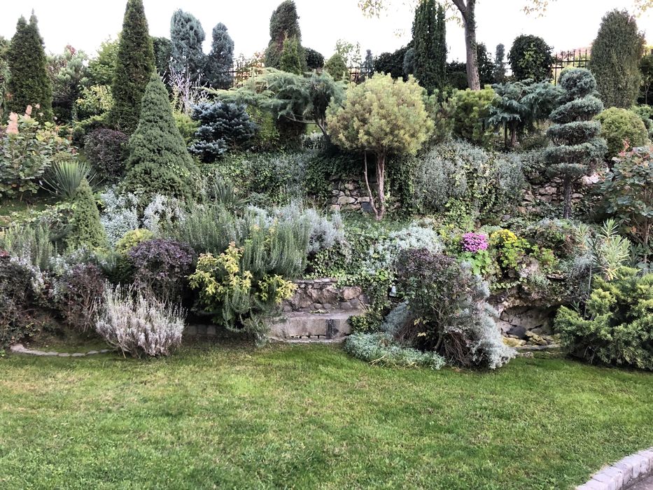 Озеленяване , изграждане на поливни системи и поддръжка