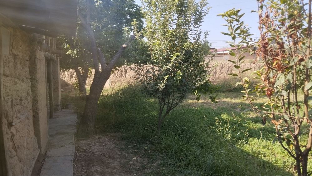 Toshkent tumani Novoyi 6 sotok