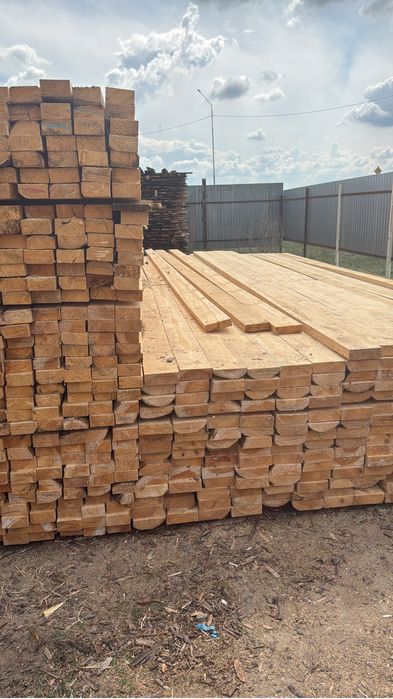 Продажа Лес Сосна и Тополь