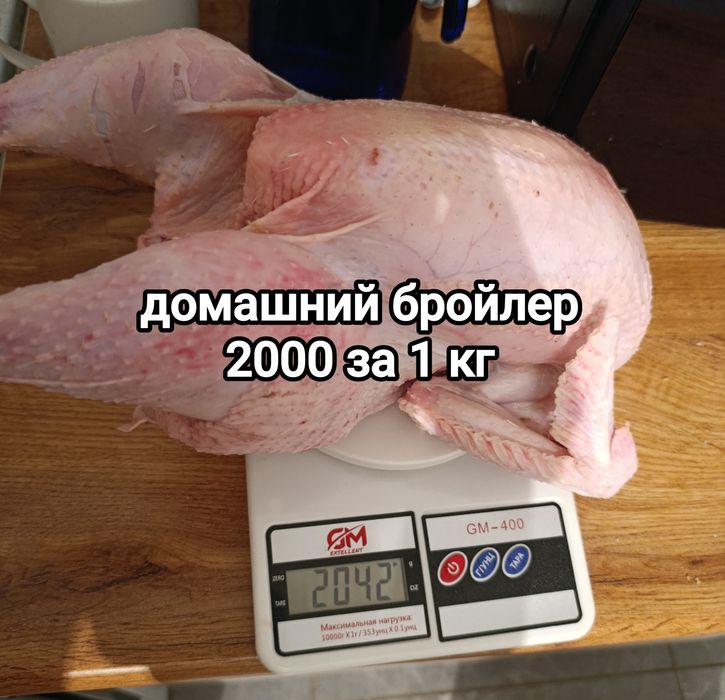 Тушка домашнего бройлера