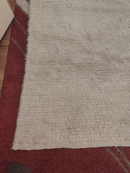 Запазен вълнен китеник