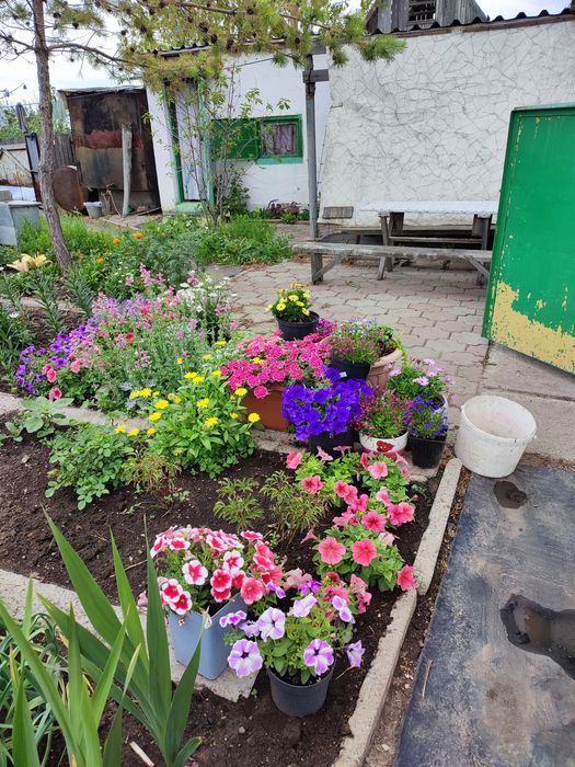 Продаю дачу на Федоровке