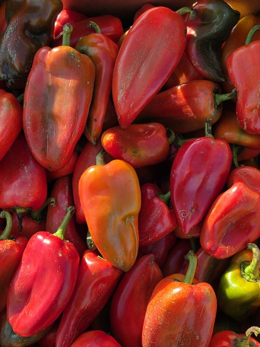 Vând ardei kapia verde