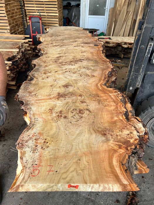 Blat plop, rasina epoxidica