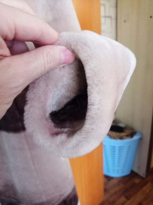 Продам шубу мутон.