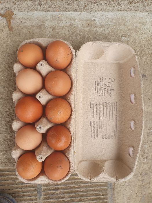 Oua de gaina de vanzare