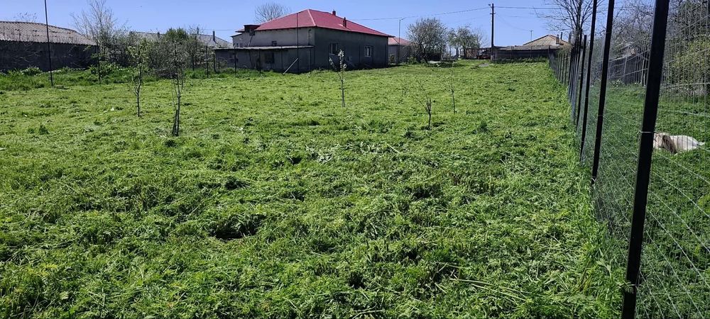 Teren intravilan 1402 mp Dulcești (23 August) | Asfalt | Utilități la gard