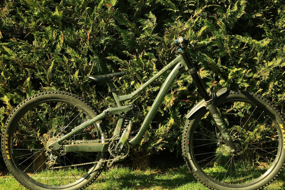 Scott Gambler 910 2023