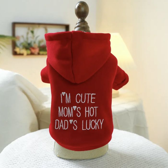 Дрехи, играчки и аксесоари за кучета