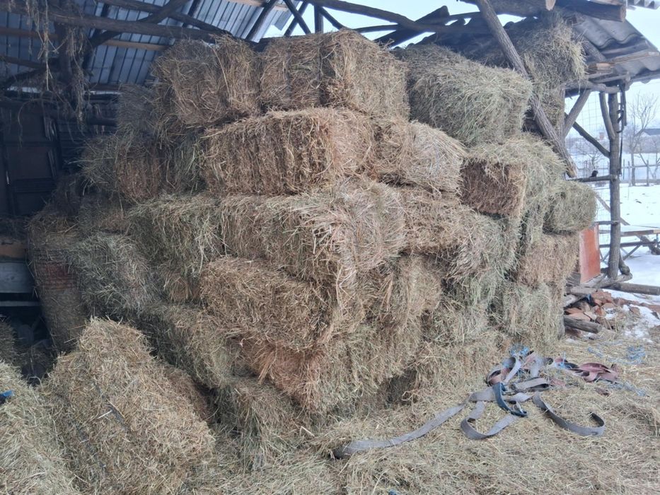 Fân de vânzare,    széna eladó