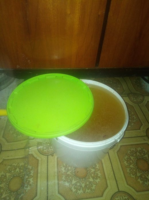 Мед донниковый хорошего качества