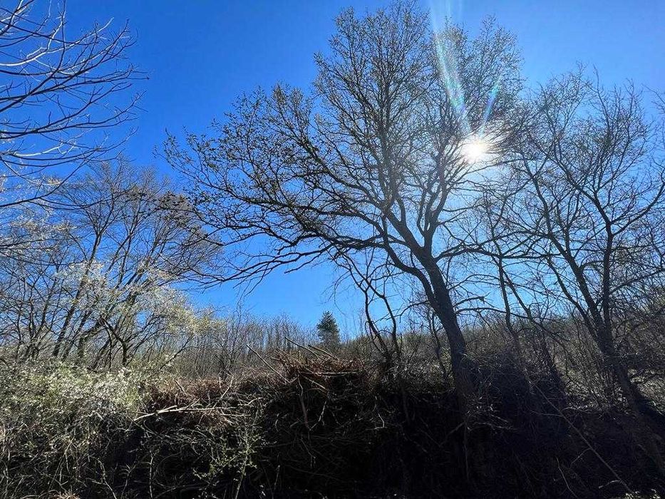 1.6 дк Дворно Място / Парцел в Казанлък зад Художествената Гимназия