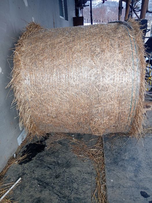 Vând balot de paie grâu