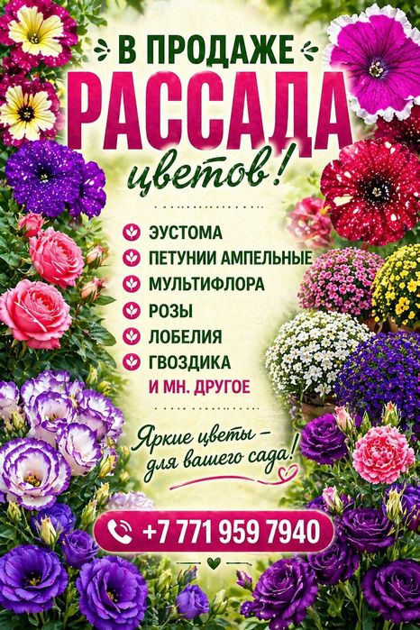Рассада цветов ...