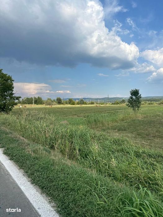 Teren pentru hala, logistica sau parc auto – 72 ml  la DN, Stuparei-VL