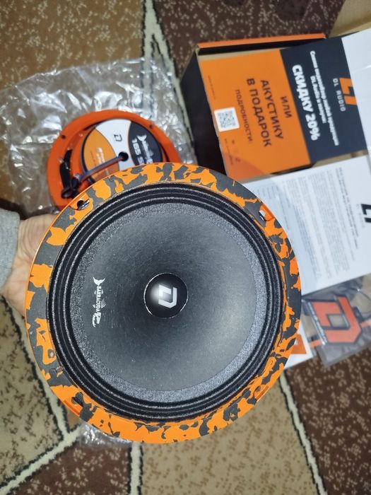 DL Audio Barracuda 165. Эстрадные динамики