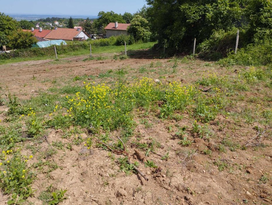 Топ Парцел в Малка Верея