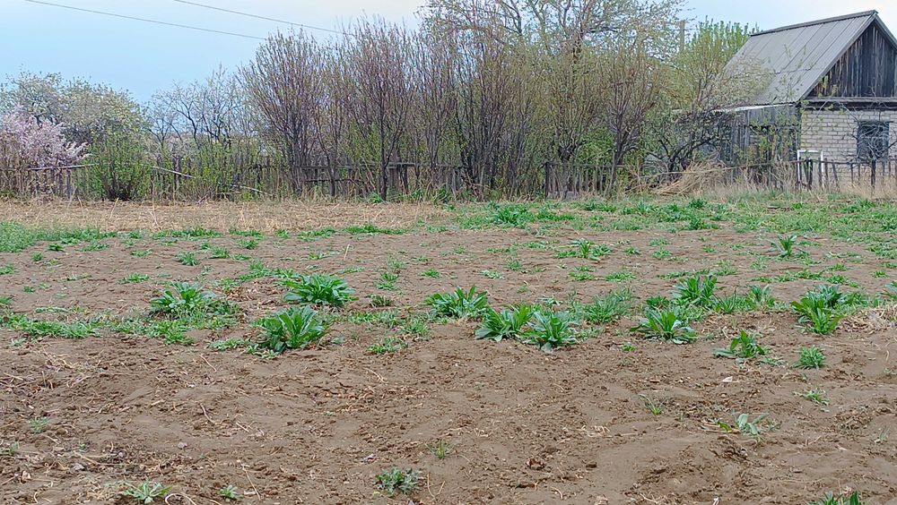 Продам дачу ПК Ягодка