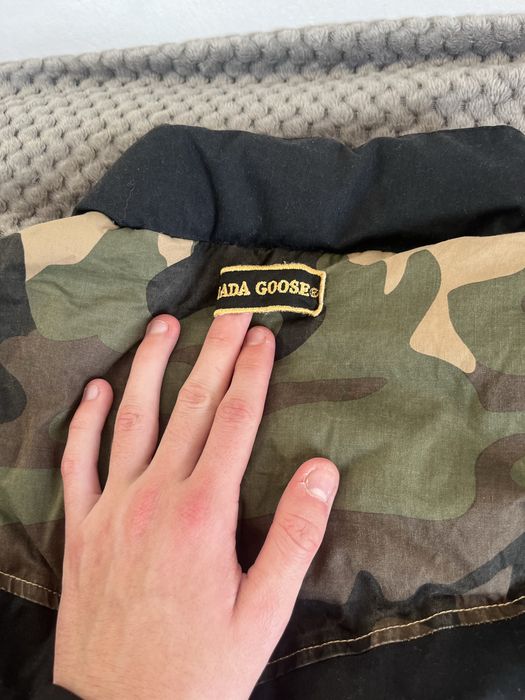 Vesta Canada Goose